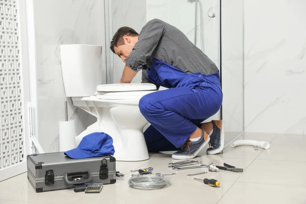 Toilet Installation in Mountain City